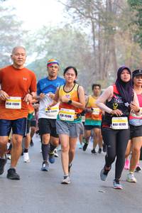 BIB: 17099, 15108, 10709
                            <button type="button" onclick="openModal(10411924)" class="btn btn-primary btn-sm float-right btn-popup" data-toggle="modal" data-target=".modal-high-quality">
                        <i class="fas fa-shopping-cart"></i> Add to Cart
                    </button>
                                            <button type="button" onclick="isThisMe(10411924, true)" class="btn btn-success btn-sm float-right btn-popup btn-isme hidden" data-toggle="tooltip" data-placement="bottom" title="นี่คือรูปของคุณใช่ไหม คลิกที่นี่เพื่อเอาเข้าอัลบั้ม">
                        <i class="fas fa-plus"></i> Add to album
                    </button>
                    <button type="button" onclick="isThisMe(10411924, false)" class="btn btn-warning btn-sm float-right btn-popup btn-isnotme hidden">
                        <i class="fas fa-ban"></i> Remove from album
                    </button>